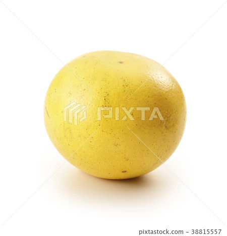 Grapefruit (back fly, shadow iki) Grapefruit (back fly, shadow iki) 38815557