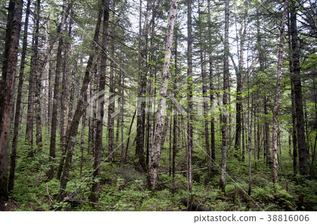 Geumgang Grand Canyon, Baekdu Mountain, North Korea 38816006