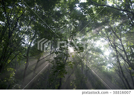 Oh Gyeongsan castle (Goguryeo), Liaoning, China 38816007