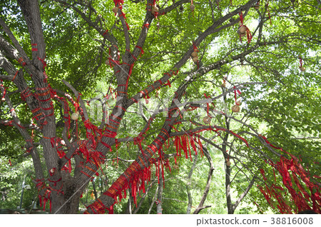 Oh Gyeongsan castle (Goguryeo), Liaoning, China 38816008