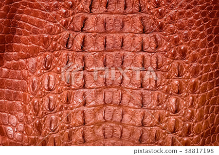 Brown crocodile leather , texture and Background Brown crocodile leather , texture and Background 38817198