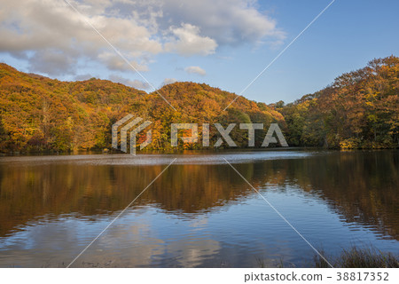 Kazawa swamp of the evening sun Kazawa swamp of the evening sun 38817352