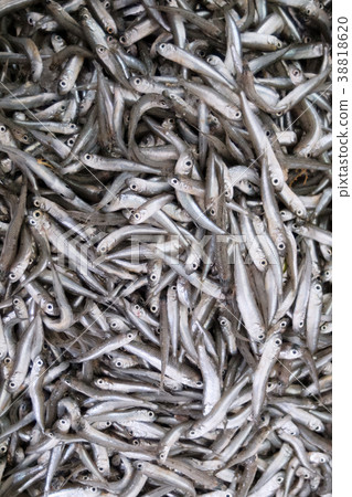 Sea fish the European anchovy on the market. Sea fish the European anchovy on the market. 38818620