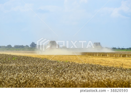 Combine harvesters. Agricultural machinery. 38820593