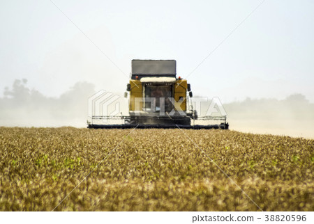 Combine harvesters. Agricultural machinery. 38820596