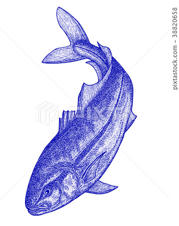 黃尾魚 黃尾魚 38820658