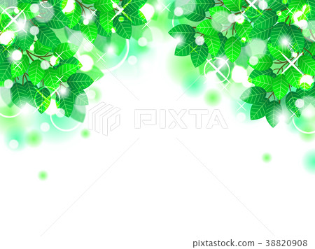 Tree leaked day frame Tree leaked day frame 38820908