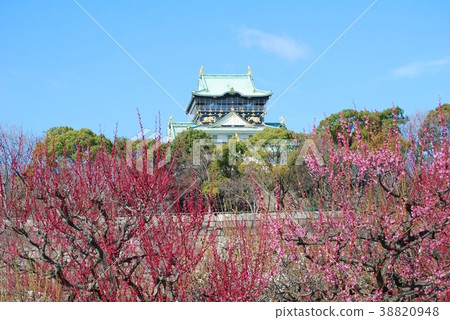 大阪城堡塔被看見在李子 大阪城堡塔被看見在李子 38820948