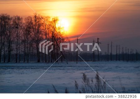 Big disc of the sun behind the trees. 38822916