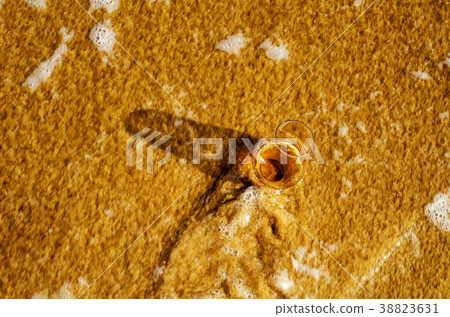 a glass of whiskey single malt on the sand 38823631
