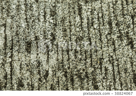 水泥地面的紋路 Cement Concrete Floor Texture コンクリート路面の紋様 38824067