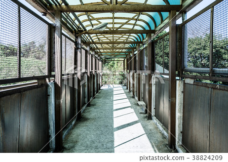 天橋平台橋人行天橋立交橋 38824209