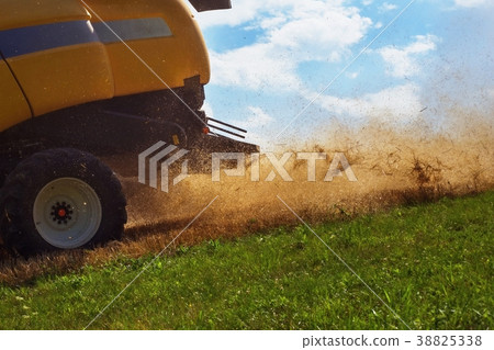 Harvesting grain with flying straw. Harvesting grain with flying straw. 38825338
