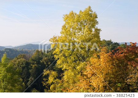 Autumn colored trees in Czech Paradise. Autumn colored trees in Czech Paradise. 38825423