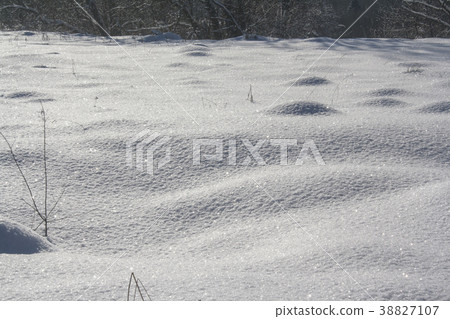 snow-covered field snow-covered field 38827107