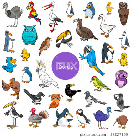 cartoon birds animal characters big set 38827109