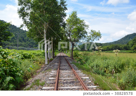 Torokko Kingdom Mist 38828578