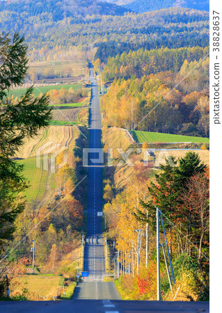 Roller coaster path 38828637