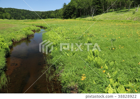 Osenuma的Nikkomusu Osenuma的Nikkomusu 38828922