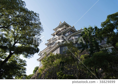 岡山城堡城堡塔 38829899