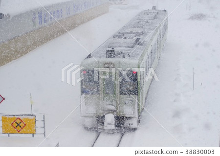 雪本地線花圈線 雪本地線花圈線 38830003