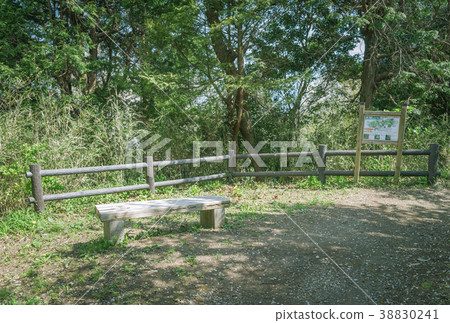景觀與長凳Honjoyama公園 38830241