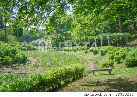 與長凳彩虹鎮村莊花園的風景 與長凳彩虹鎮村莊花園的風景 38830255