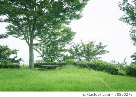與長凳Gotenyama草坪露天場所的風景 與長凳Gotenyama草坪露天場所的風景 38830272