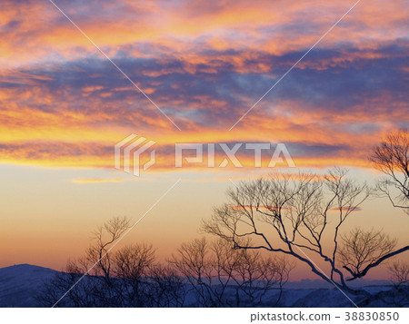 Vivid winter twilight (side) 38830850