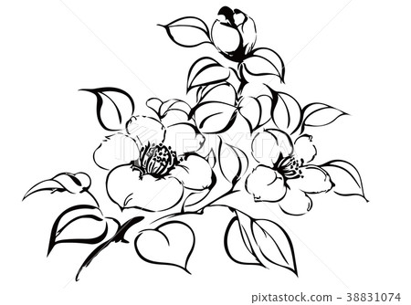 Line drawing 38831074