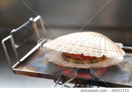 Scallop scallop 38831733