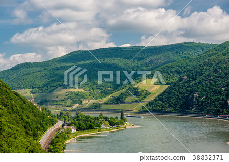 Vineyards at Rhine Valley in Germany 38832371