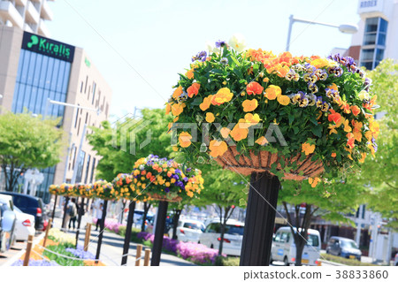 花 花 38833860