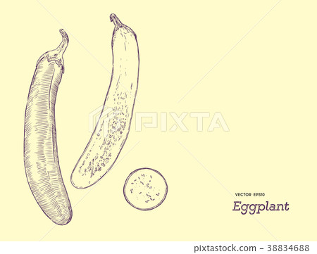 Hand drawn whole eggplant with slices composition. 38834688