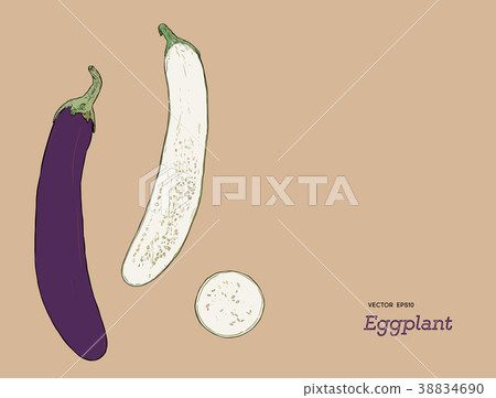 Hand drawn whole eggplant with slices composition. Hand drawn whole eggplant with slices composition. 38834690