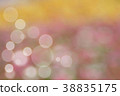 Beautiful colorful flower and bokeh background.  38835175
