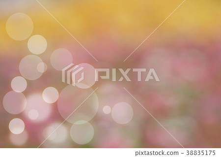 Beautiful colorful flower and bokeh background.  38835175