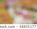 Beautiful colorful flower and blurred background.  38835177
