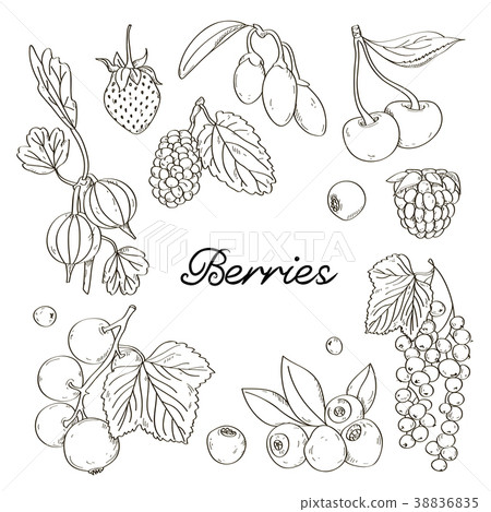 Berries icons set Berries icons set 38836835