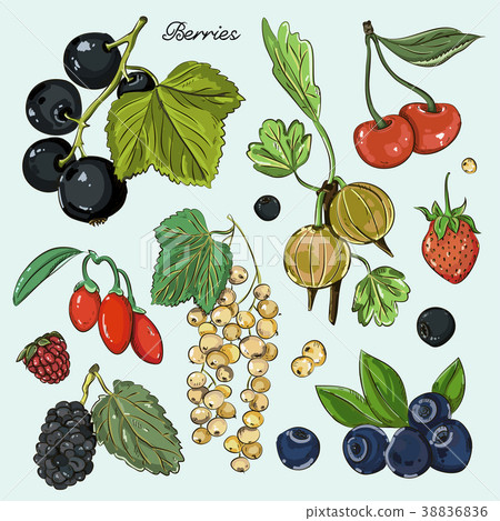 Berries icons set 38836836