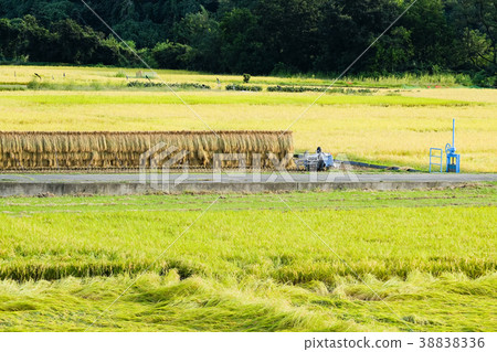 Rural landscape in autumn Rural landscape in autumn 38838336