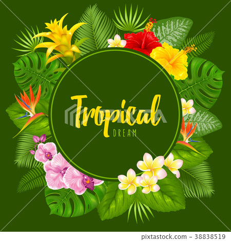 Summer tropical frame design 38838519