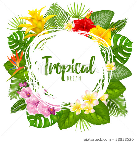 Summer tropical frame design 38838520