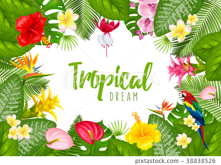 Summer tropical frame design Summer tropical frame design 38838526