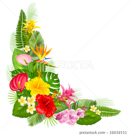Tropical corner design Tropical corner design 38838531