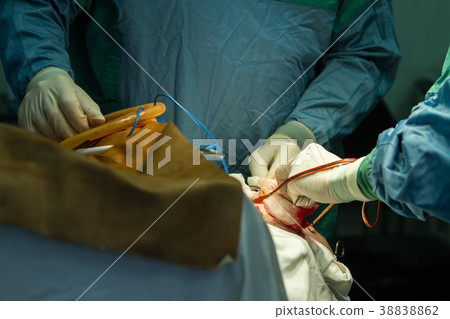 Operation of trepanation of the skull. Operation of trepanation of the skull. 38838862