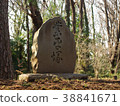 Hirabayashi temple business Hiratsuka of early spring Musashino forest 38841671