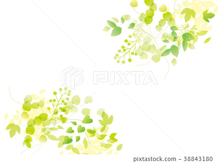 Circle green white Circle green white 38843180