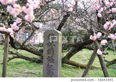 Fujikawa Tenjin Fujikawa Tenjin 38843465
