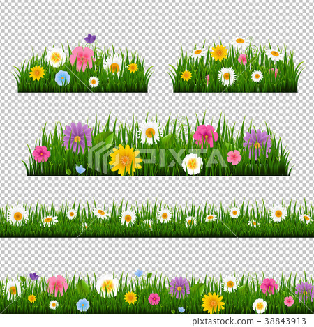 Grass And Border Collection Transparent Background 38843913